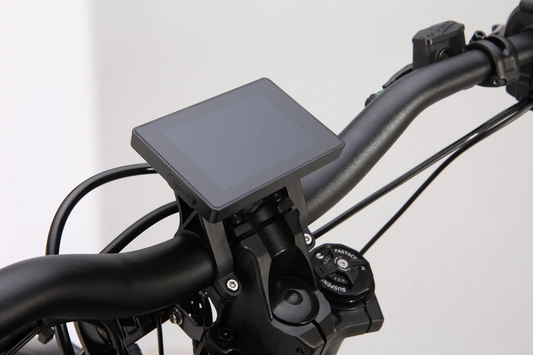 E-Ride Pro SR