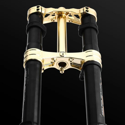RFloXa Hawk31 Max - Track‑tuned, hard‑hitting, and that gold drip