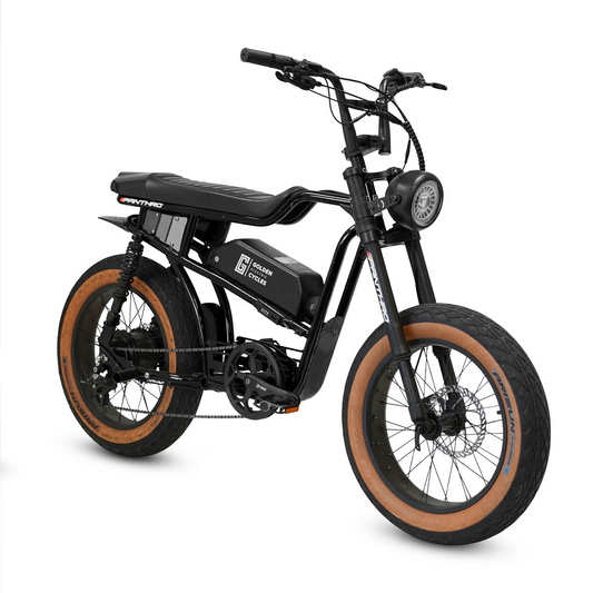 Panthro - Black  | 750W of Pure Street Power