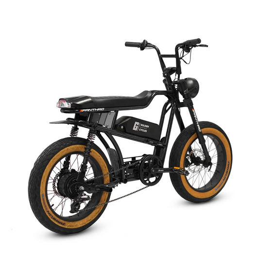 Panthro - Black  | 750W of Pure Street Power