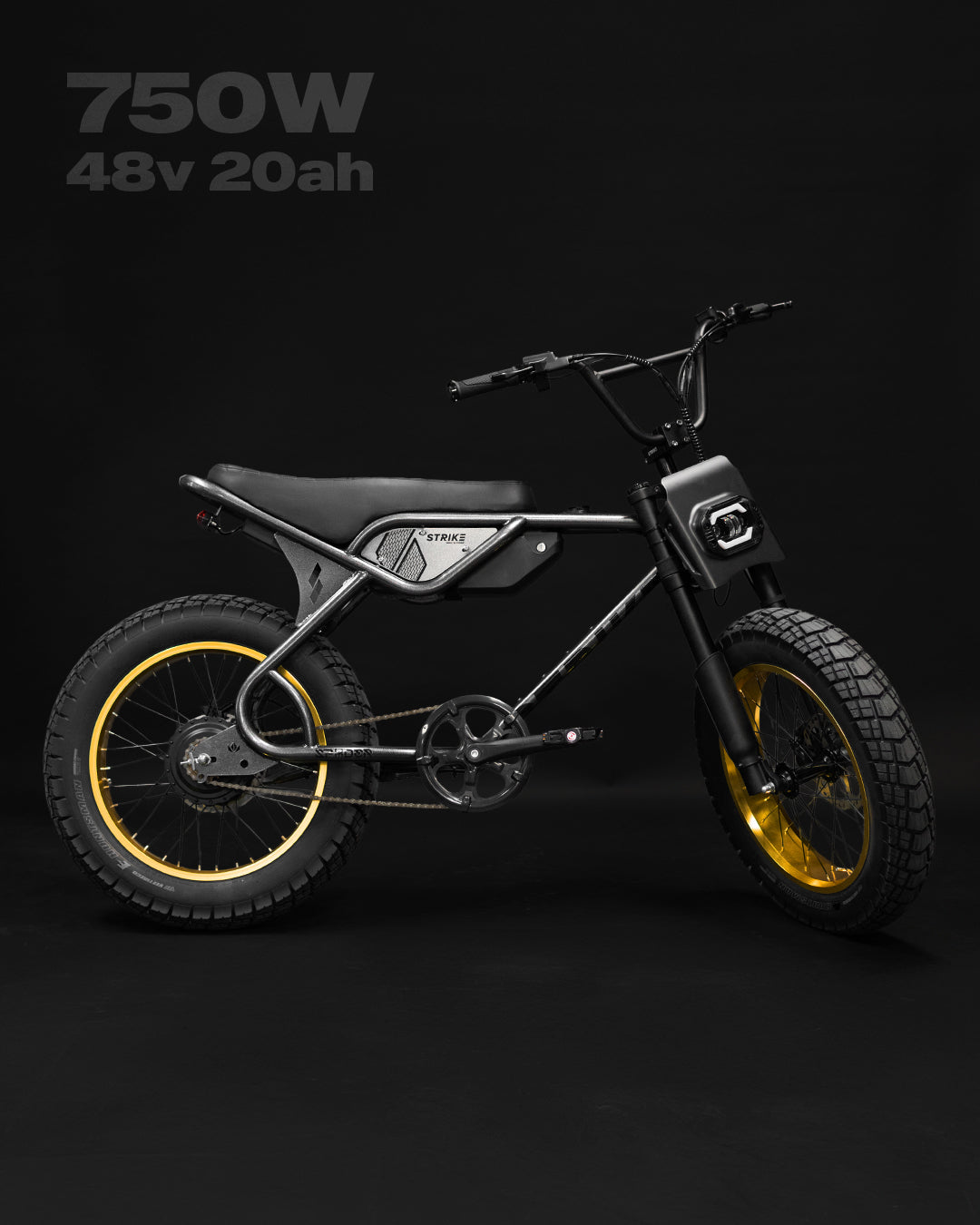 SPYDER 750W - GRAPHITE ORO