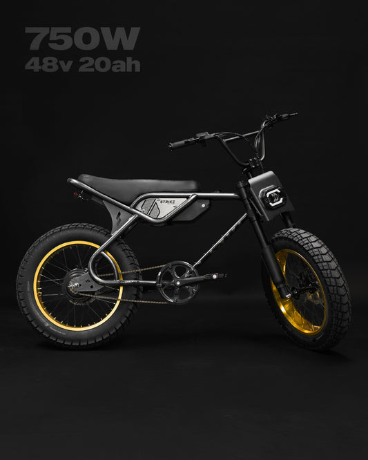 SPYDER 750W - GRAPHITE ORO