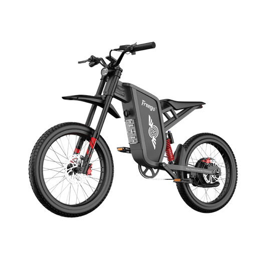 Freego X1