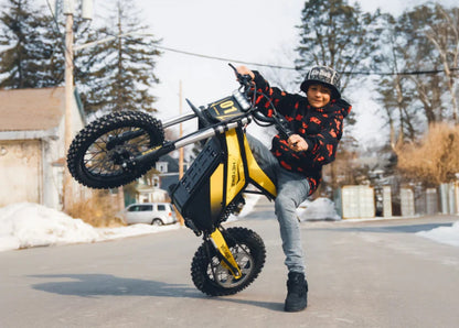 Heybike Villain